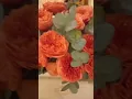 Download Lagu Fresh Orange Flowers 🌺 #amazing #viral #shortvideo #flowers #trending