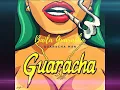 Download Lagu DJ Mari - Guaracha Man   Baila Guaracha