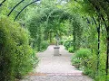 JOHNNY'S GARDEN  ~  MANASSAS  ~  Lyrics