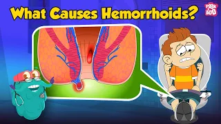 what are piles what causes hemorrhoids hemorrhoids symptoms and prevention dr binocs show