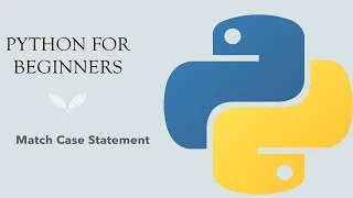 Python for Beginners Match Case Statement Similar to Switch-Case in C