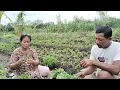 Download Lagu PERANTAU ASAL BREBES KELOLA LAHAN DI LOKASI TRANSMIGRASI BULUNGAN KALIMANTAN UTARA
