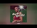 Download Lagu Doja Cat - Say So / Like That Mashup