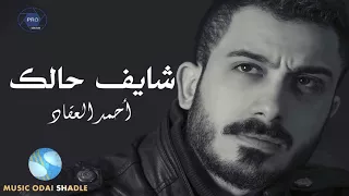 أحمد العقاد  شايف حالك                                        دندنها