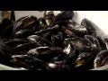 Food Myths Do Oysters Make You Horny WIRED