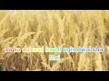 Download Lagu Dwai dwai video song (Lyric)// khasi gospel //