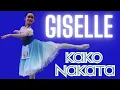 Download Lagu Kako Nakata - YAGP 2025 Finals Junior Final Round - Giselle