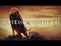 Lagu Sounds of Ascension | 4 Hour Deep Prayer and Meditation Music  | ArinzeKeyz