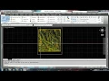 Create surface from polyline