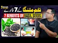 Download Lagu Benefits of basil seeds | Tukham malanga