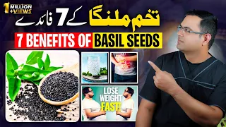 Benefits Of Basil Seeds Tukham Malanga 