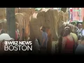 Why 100 life-size elephant sculptures have arrived in Boston