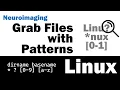 Meta characters dirname basename Linux Workshop for Neuroimaging Bioinformatics part 7