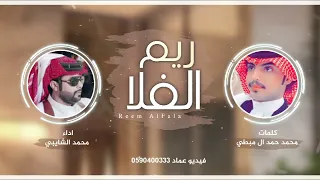 ريم الفلا اداء محمد الشايبي دندنها