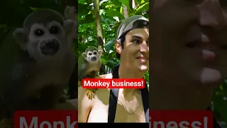 Monkey business on remote tropical island!