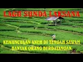Download Lagu LAGU SUNDA LAKSANA KEMUNCULAN ANEH DI TENGAH SAWAH BANYAK ORANG BERDATANGAN