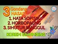 Lagu Gondang HASAPI 1.HATASOPISIK 2.HORBOPAUNG 3.SIHUTURSANGGUL By: KOREM SIHOMBING
