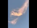 Around the world 1hr loop