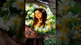 عشت ايامي واحلامي بحبك نجاة الصغيره 