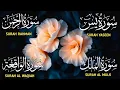 Download Lagu Surah Yaseen ❤ Surah Rahman ❤ Surah Al Waqia ❤ Surah Al mulk Soothing Quran recitation | Ep000291