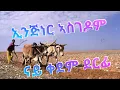 Download Lagu Eritrean Music Engineer Asgedom Lilo Lilo