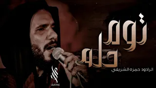توه حله   حمزه الشريفي   هيئة مجانين الحسين ع       ه  دندنها