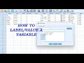 HOW TO LABEL A VARIABLE IN SPSS