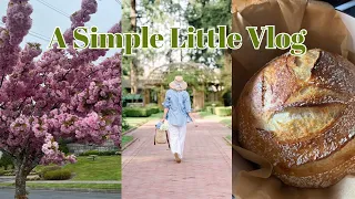 A LITTLE CHAT WHILE WALKING WEIGHTED VESTS KOREAN SKINCARE AND A LITTLE BIT OF HOME