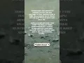 Download Lagu pesan menyentuh untuk diri yang masih suka lalai