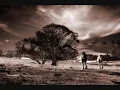 Wildfire- Michael Martin Murphey
