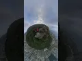 Download Lagu Hiking #adventure #insta360x3 #trending #explore #shortsfeed #shorts #short #shortvideo #memories #k