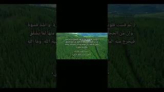 القارئ بدر بن محمد التركي سورة البقرة الآية ٧٤ 