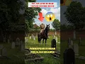 Lagu ‼️⚠️ Penampakan di kuburan Belanda 😱
