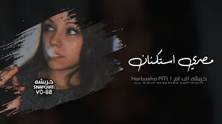 اغاني استكنان 2025 مصري عيلة تايهة تايهة ياولاد الحلال الحلوها خوخا مطلوب اكثر شي 