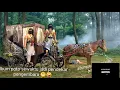 peran antagonis sinetron laga kolosal