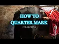 HOW TO QUARTER MARK YOUR HORSE OR PONY FOR THE SHOW RING