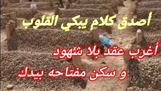 أروع قصة قصة اقوى قصيدة النفس تبكي على الدنيا قصة رجل مع الإمام علي بن أبي طالب 