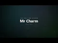 The Rolling Stones - Mr Charm (Lyrics)