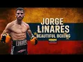 Download Lagu Jorge Linares - Beautiful Boxing