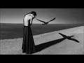 Landikhan & Caravaca - Persephone - (Hrag Mikkel Remix)