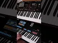 Download Lagu Sun Of Jamaica - Goombay D.B. I Yamaha Genos \u0026 Korg Pa4X Pro Instrumental Cover By Johnny Music