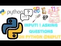 Input function easy python programming