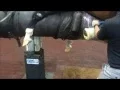 Collecting the sperm-rich fraction of the ejaculate from a stallion