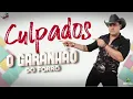 Download Lagu CULPADOS O GARANHÃO DO FORRÓ