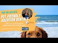 Should my Vacation Rental be Pet Friendly Outer Banks Real Estate Pet Friendly Beach House OBX