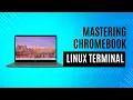 Master Linux terminal commands using Crosh and Crostini in ChromeOS