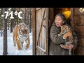 Lagu Een bejaarde vrouw redt een tijgerwelp die in Siberië van zijn moeder was gescheiden — een ontroere