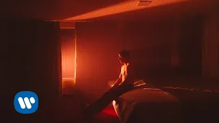 red hot chili peppers these are the ways official music video 