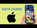 How To Check Data Usage in iPhone