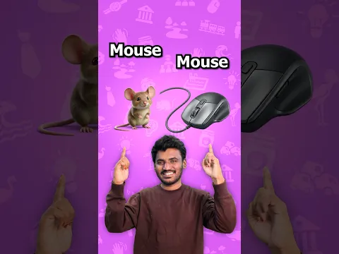 Learn 10 Homonyms for Kids 🐭🖱️ | English Learning with Cartoon Animation